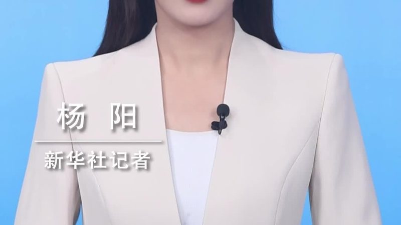 电商平台技术外包开发的五大关键考量